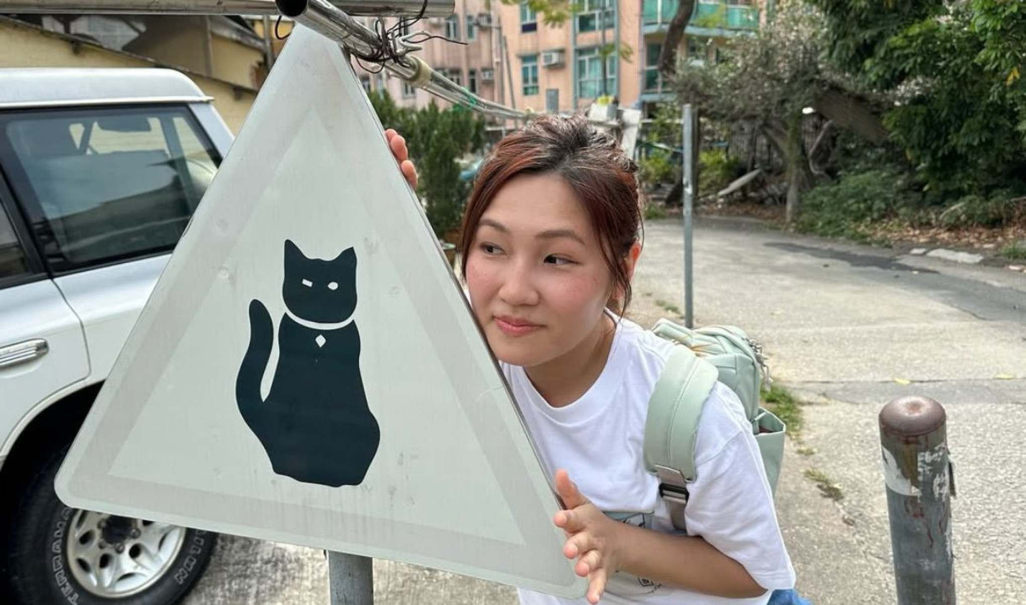 Os locais viraram verdadeiros pontos turísticos, rendendo até dicas nas redes sociais de como ver as placas ao vivo. E, claro, conseguir fazer uma amizade felina. 
