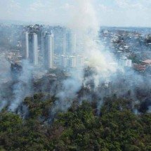 MG decreta situação de emergência devido a incêndios florestais - Leandro Couri/EM/DA. Press