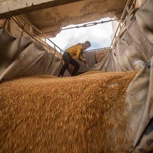 Com safras recorde, Brasil não tem armazéns suficientes para grãos - Delil SOULEIMAN / AFP