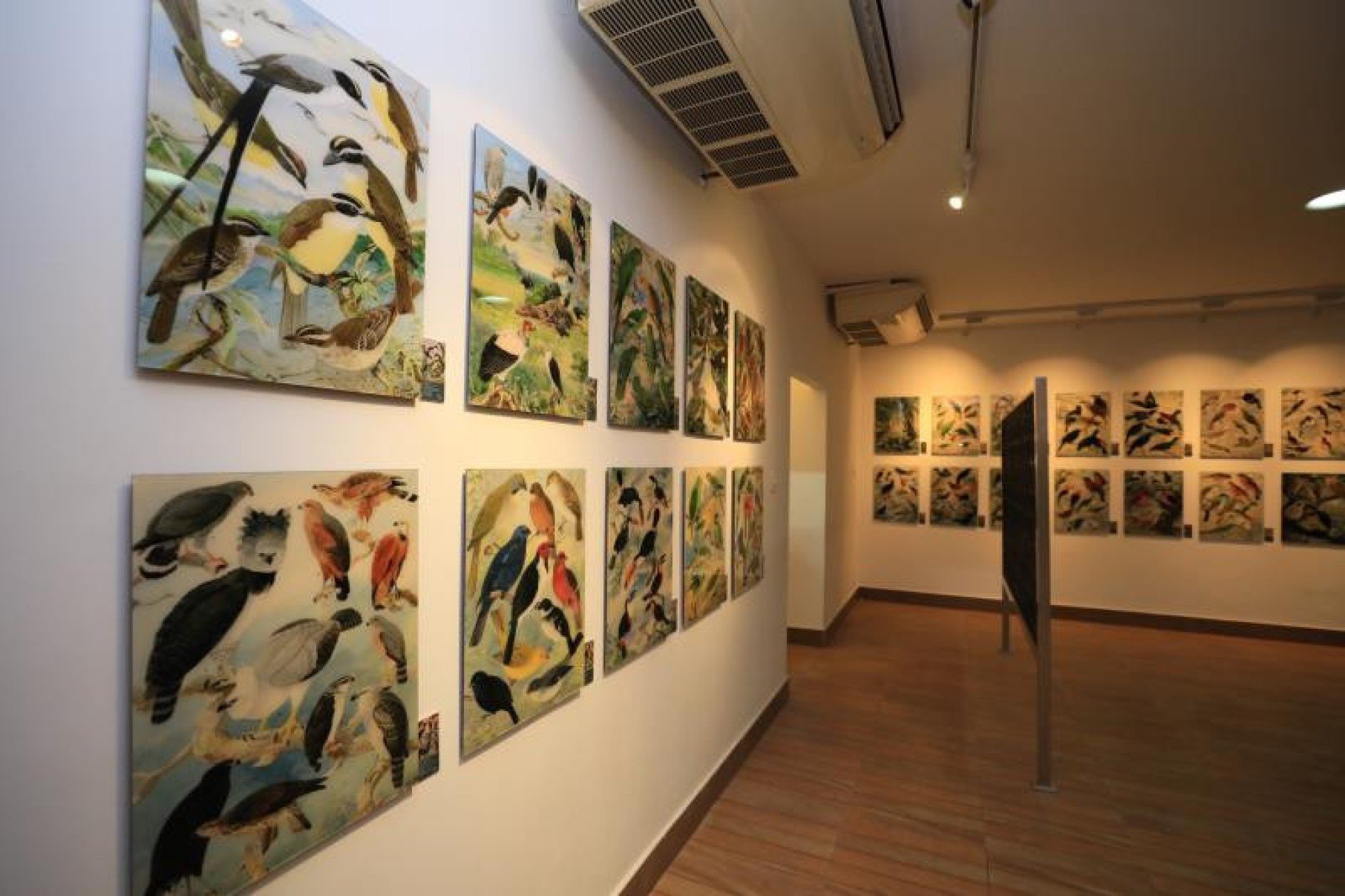 Curadora do legado de Goeldi retorna à Amazônia para a COP30 - DINO