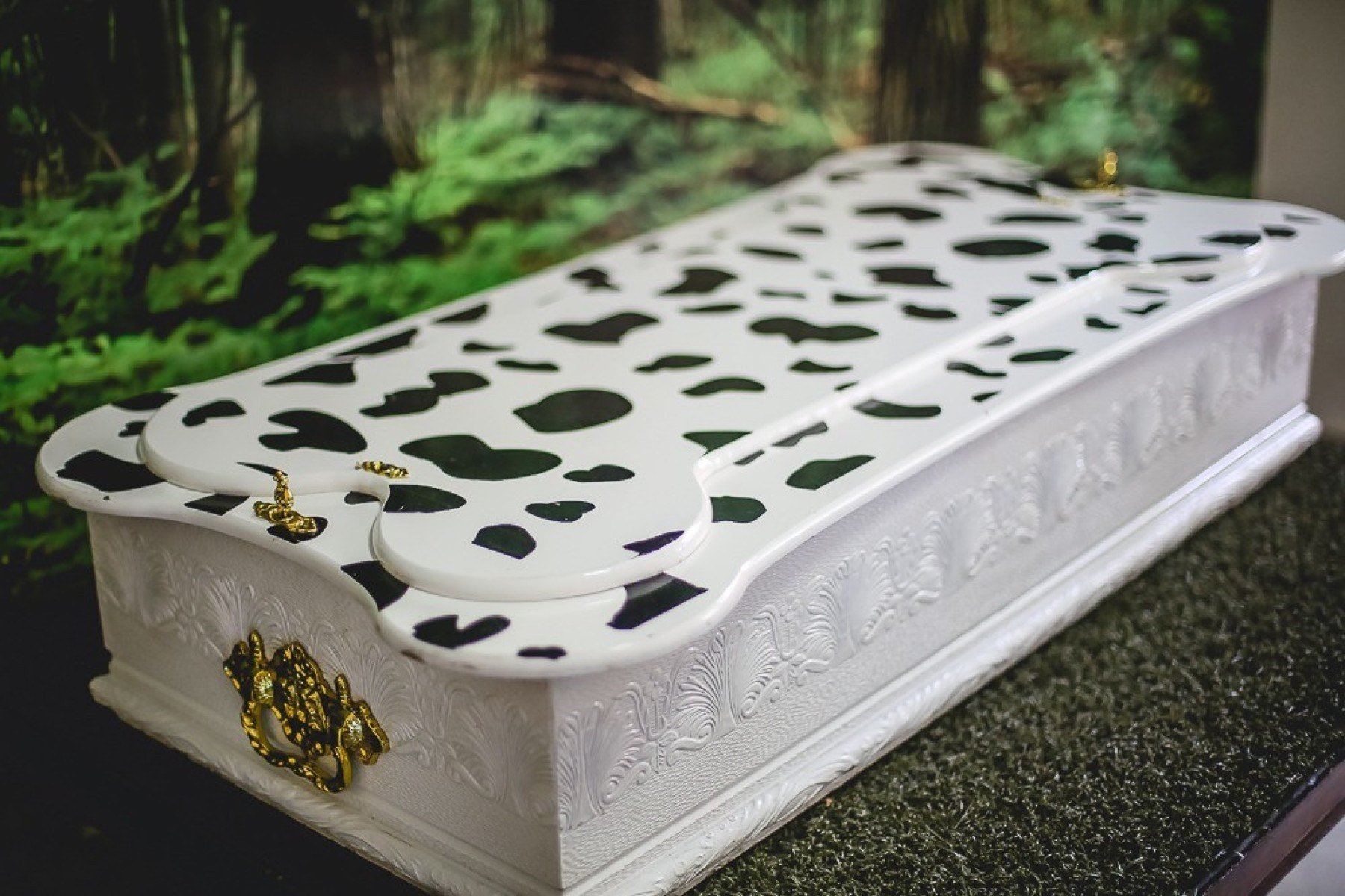 Especialistas reforçam acolhimento no luto por pets  - DINO