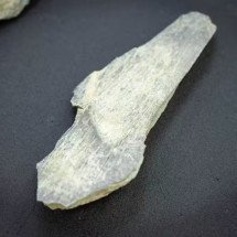 Escavação revela ferramentas de 1,5 milhão de anos, feitas com ossos - divulgação/CSIC 

