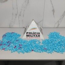 MG: denúncia anônima leva à apreensão de mais de 900 pinos de cocaína - Divulgação/Polícia Militar