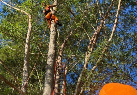Corpo de Bombeiros/Divulgação