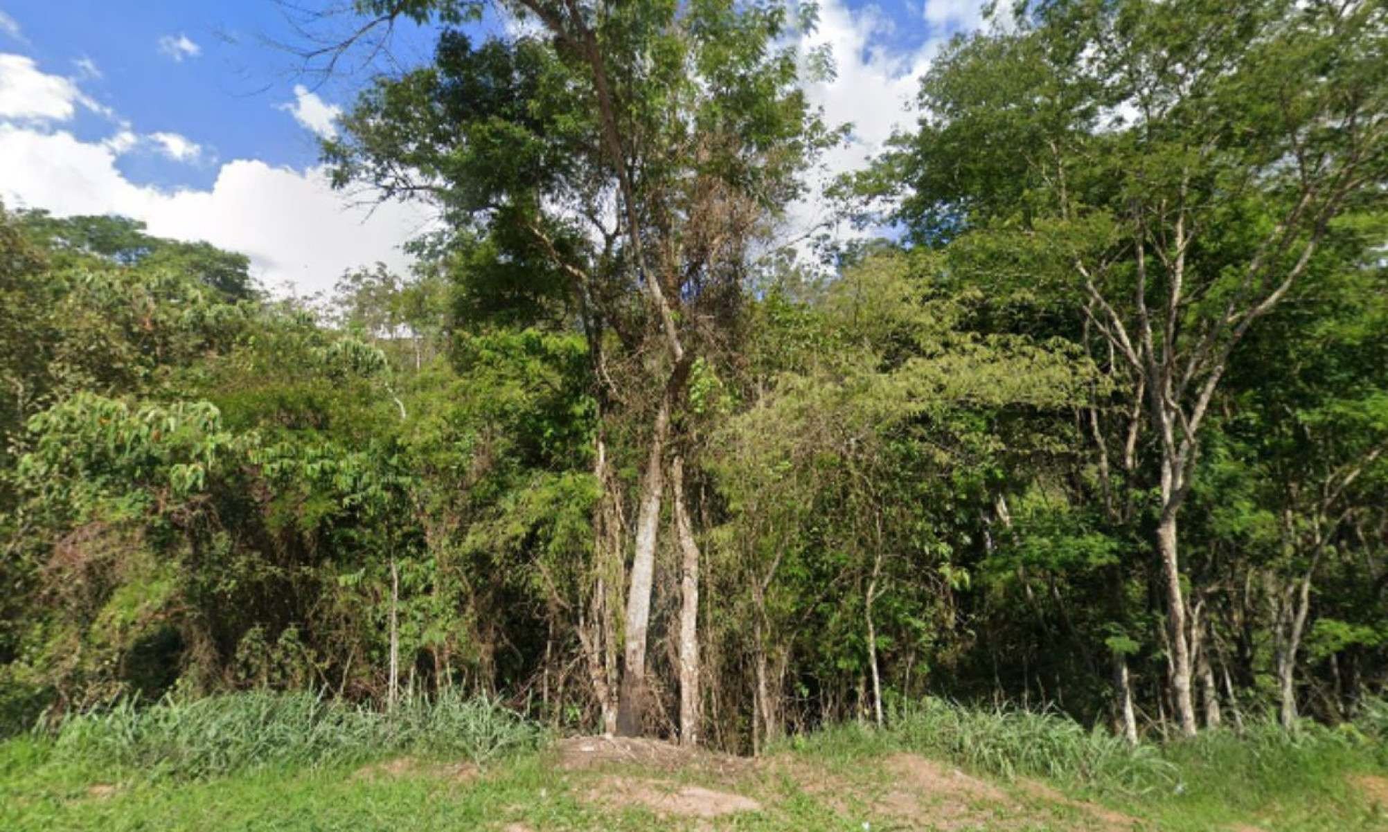 Homem que matou primo estrangulado em surto é preso em trilha