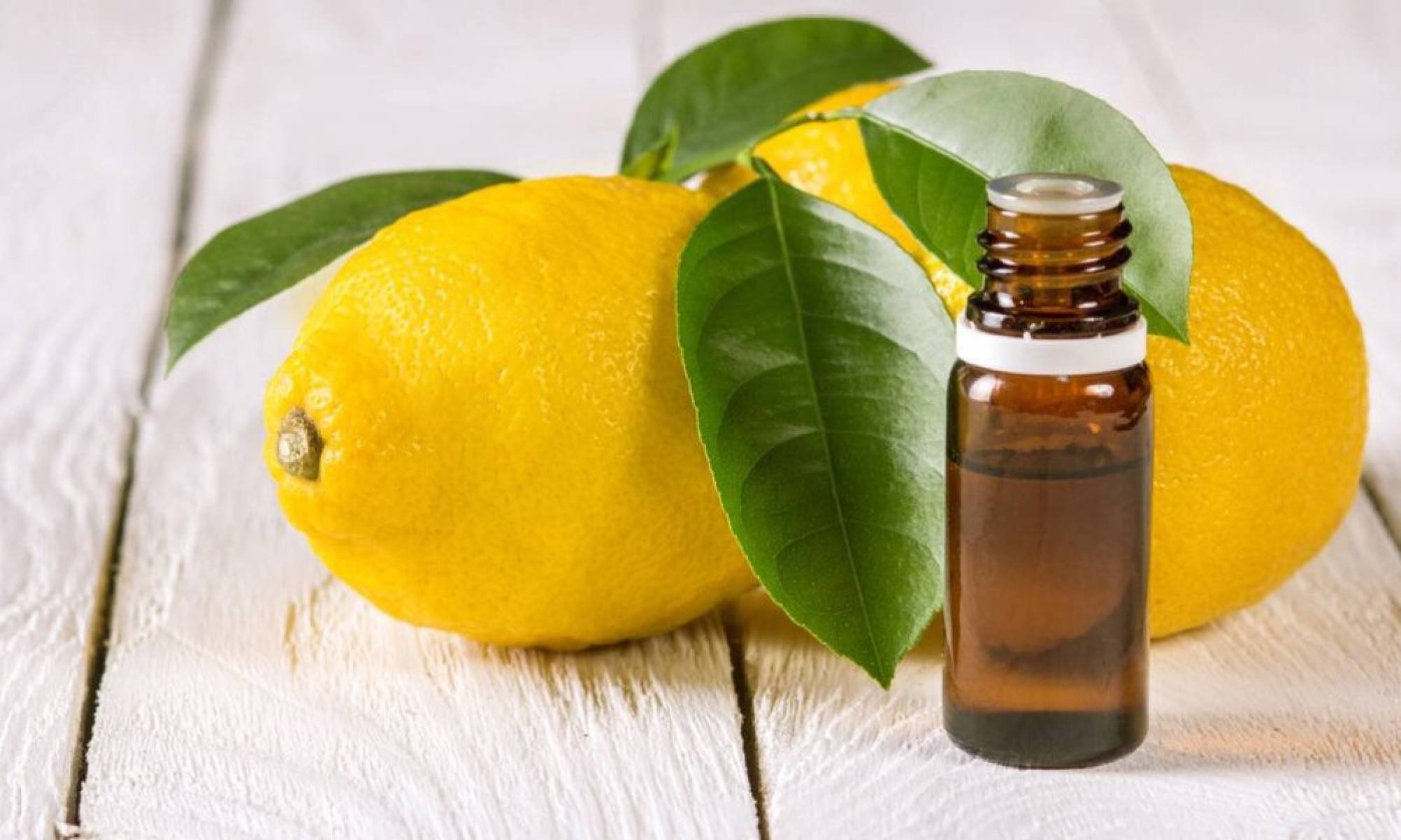 O que é mito e o que é verdade sobre o uso de limão nos cuidados com a pele - Tupi