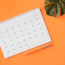 Dia do Servidor Público: conheça a origem do 'feriado' de 28 de outubro - Reprodução/FreePik