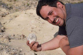 Ovo de dinossauro encontrado na Argentina pode conter embrião preservado