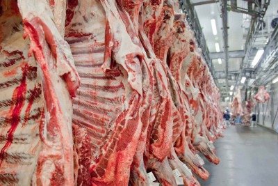 Exportação de carne bovina bateu recorde em mês anterior ao tarifaço imposto por Trump -  (crédito: Divulgação/Abiec)