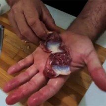 Moela de frango: a carne barata que supera até os ovos em proteína -  Reprodução de Youtube
