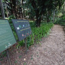 Parques municipais oferecem últimas trilhas gratuitas do ano; saiba mais - Marcos Vieira/EM/D.A.Press