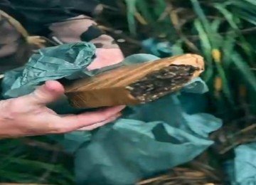 Policiais encontraram maconha escondida em um matagal, com a ajuda de cães farejadores -  (crédito: PMMG)