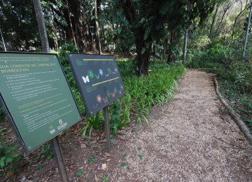 Passeio guiado pela Trilha das Borboletas tem cerca de 40 minutos de duração -  (crédito: Marcos Vieira/EM/D.A.Press)