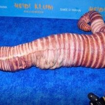 As fantasias mais icônicas de Heidi Klum, a 'rainha do Halloween' - Reprodu&ccedil;&atilde;o/X