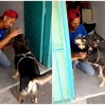 Vídeo: Cão perdido há quase 5 anos é reencontrado pelo tutor - Redes Sociais/Projeto "Invisíveis, não mais"