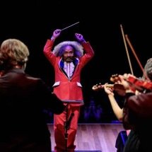 Chico César e Orquestra Opus voltam ao palco em BH - J&uacute;lia Lanari/divulga&ccedil;&atilde;o