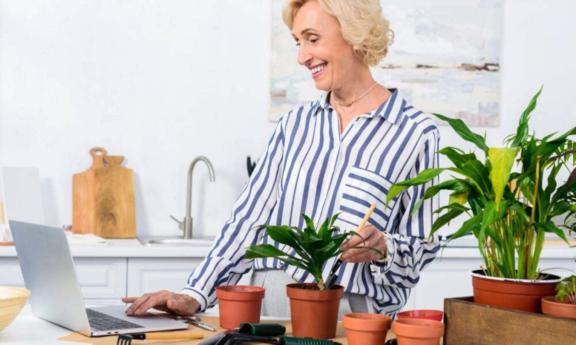 Essa planta deixa o ar mais leve e ajuda a acalmar a mente de forma natural - Tupi