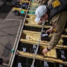 Estudo rastreia 34 pontos de refino de cocaína em Minas - PMMG/PMRv/Divulgação