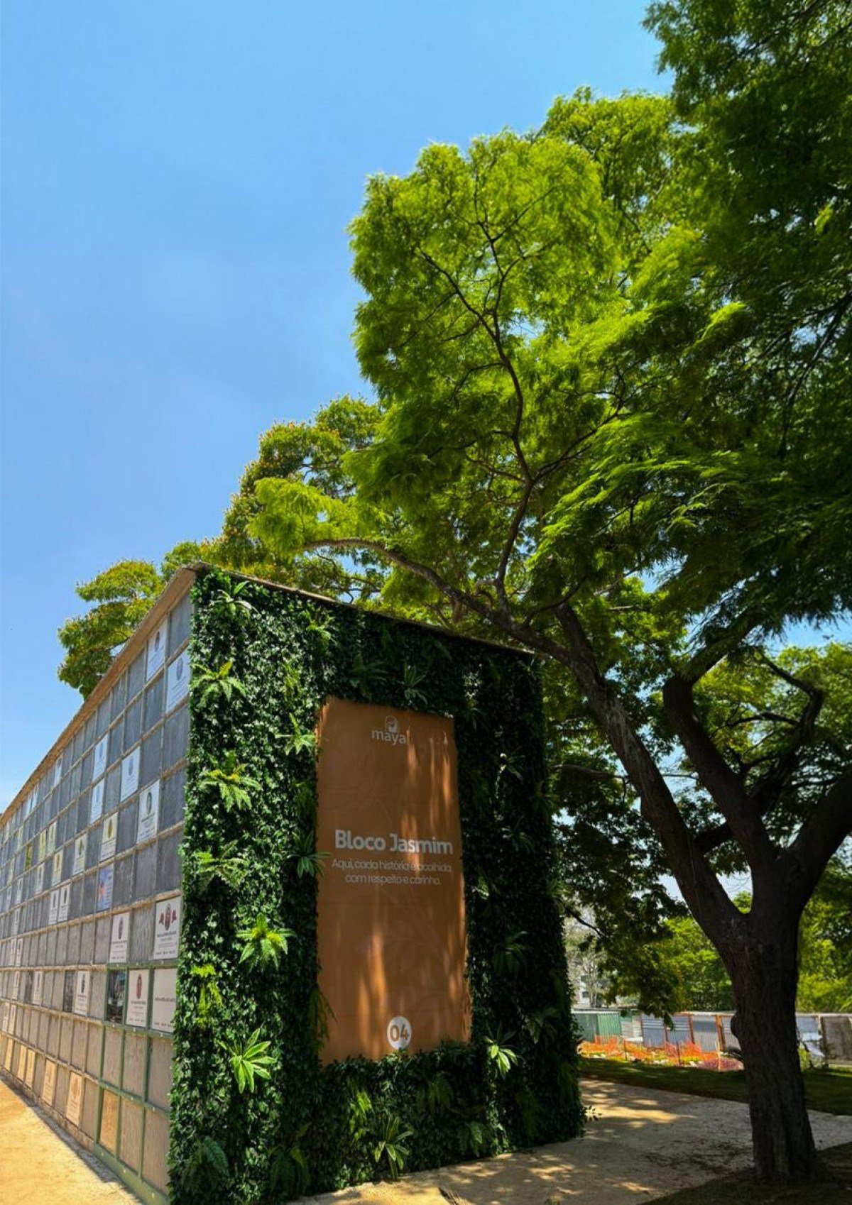 Grupo Maya promove acolhimento no Dia de Finados - DINO