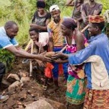 Mais que apenas sobreviver