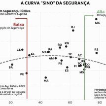 Segurança, o desespero brasileiro -  