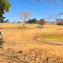 Seca até perto do Rio São Francisco: as cidades na mancha da estiagem em MG - Antônio Carlos Leão/Divulgação