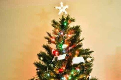 A partir disso, a Árvore de Natal se consolidou como uma prática alemã, e se popularizou pela Europa quando a rainha Vitória e o príncipe Albert decidiram usá-la como parte da sua decoração natalina no século 19. -  (crédito: Imagem de Pexels por Pixabay)