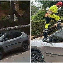 Árvore cai em cima de carro e deixa bairro de BH sem energia - CBMMG / Divulgação