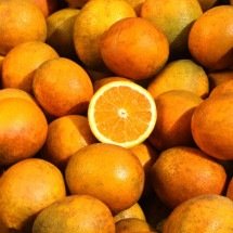 Onde fica a Serra D’Água? - Fundecitrus/Divulgação