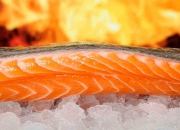 Os peixes de águas frias, como o salmão, são fontes ricas em ômega-3 -  (crédito: Ser Educacional/Divulgação)