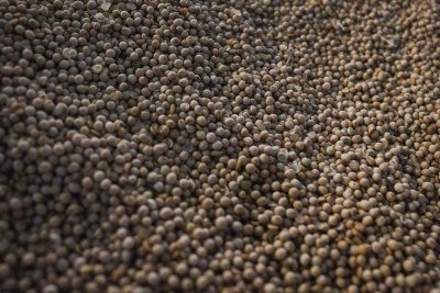 Agro segue dividido sobre Moratória da Soja e aguarda Cade -  (crédito: Platobr Economia)