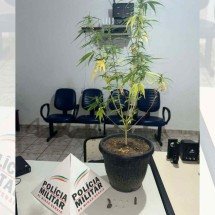 Polícia procura jovem que ameaça usuários de droga com arma de fogo - Divulgação/Polícia Militar