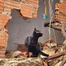 Casa é atingida por pedra durante chuva em BH - Jair Amaral/EM/DA Press