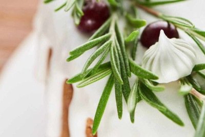 A erva que purifica o corpo e traz equilíbrio para o ambiente -  (crédito: Tupi)