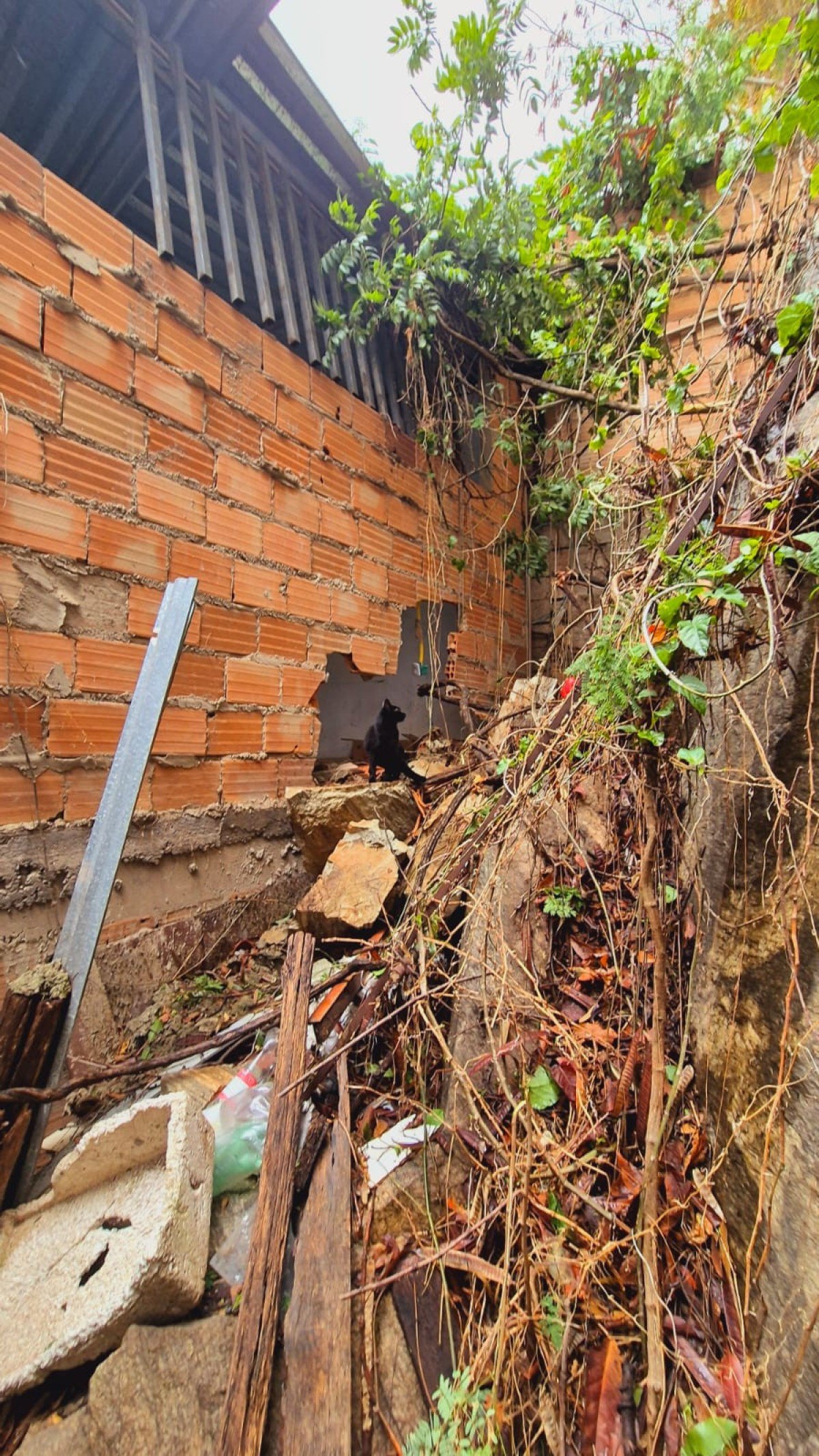 Defesa Civil de BH avalia casa atingida por pedra durante a chuva registrada na noite desse domingo (2/11), na Vila Nossa Senhora do Rosário, na Região Leste da capital-Jair Amaral/EM/DA Press