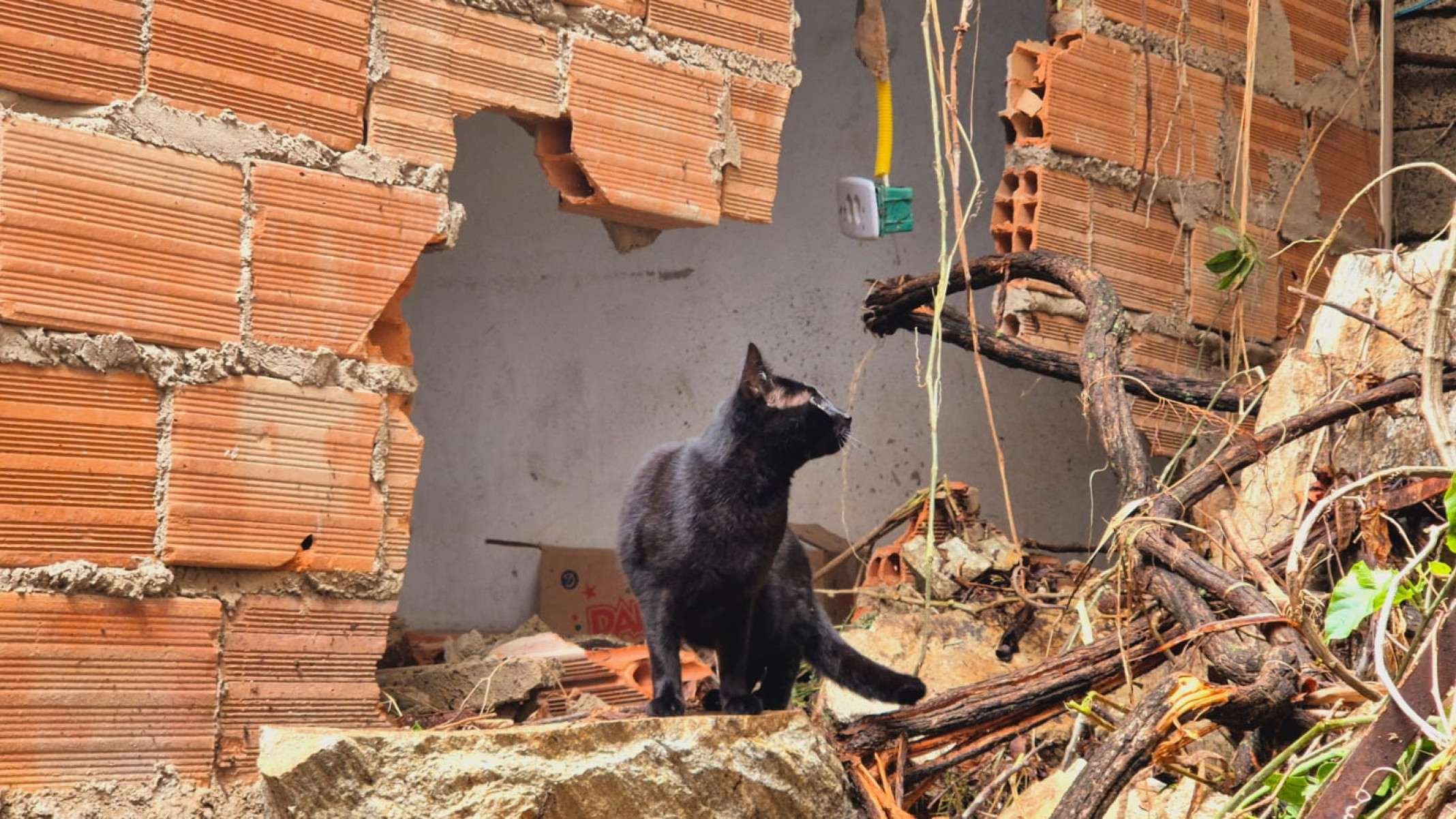 Defesa Civil de BH avalia casa atingida por pedra durante a chuva registrada na noite desse domingo (2/11), na Vila Nossa Senhora do Rosário, na Região Leste da capital-Jair Amaral/EM/DA Press