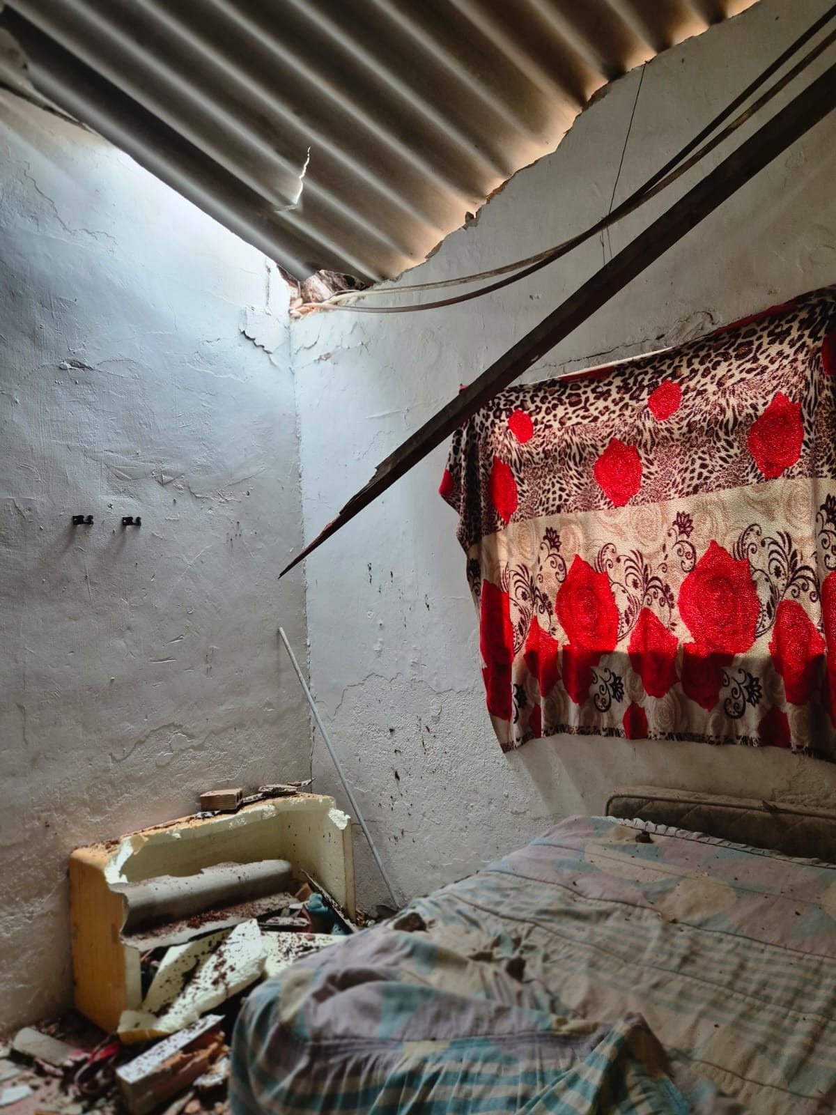 Árvore de aproximadamente 20 metros de altura cai sobre casa no Bairro Serrano, na Região Pampulha, em BH, na manhã desta segunda-feira (3/11)