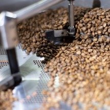 Crise climática em pauta: café brasileiro busca resiliência em evento em BH