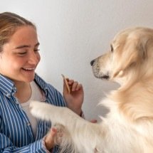Cães e gatos estão mudando a forma de encarar o fim da vida - pvproductions/FreePik