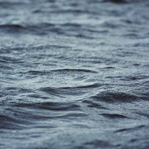 ‘Bola da morte’ e ‘vermes zumbis’: as novas espécies descobertas nas profundezas do oceano - Pixabay/xxolaxx