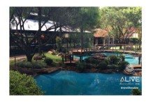 Réveillon Alive 2026: a virada mais sofisticada e vibrante de Minas