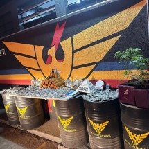 BH: Polícia sente cheiro e apreende barras, porções e pés de maconha - PMMG/Reprodução