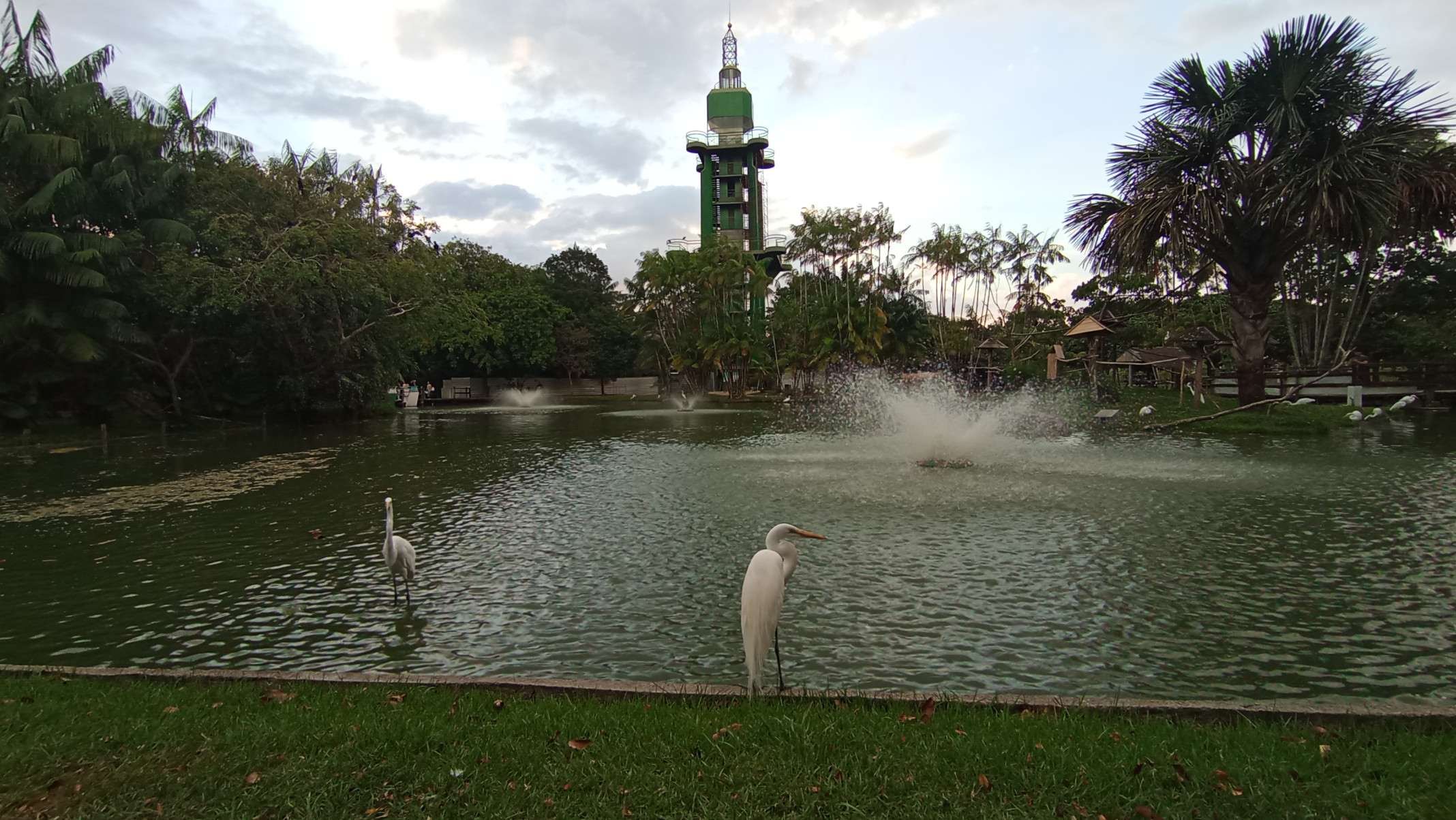  Aprecie a vista de Belém no alto do farol do parque ecológico Mangal das Garças       
