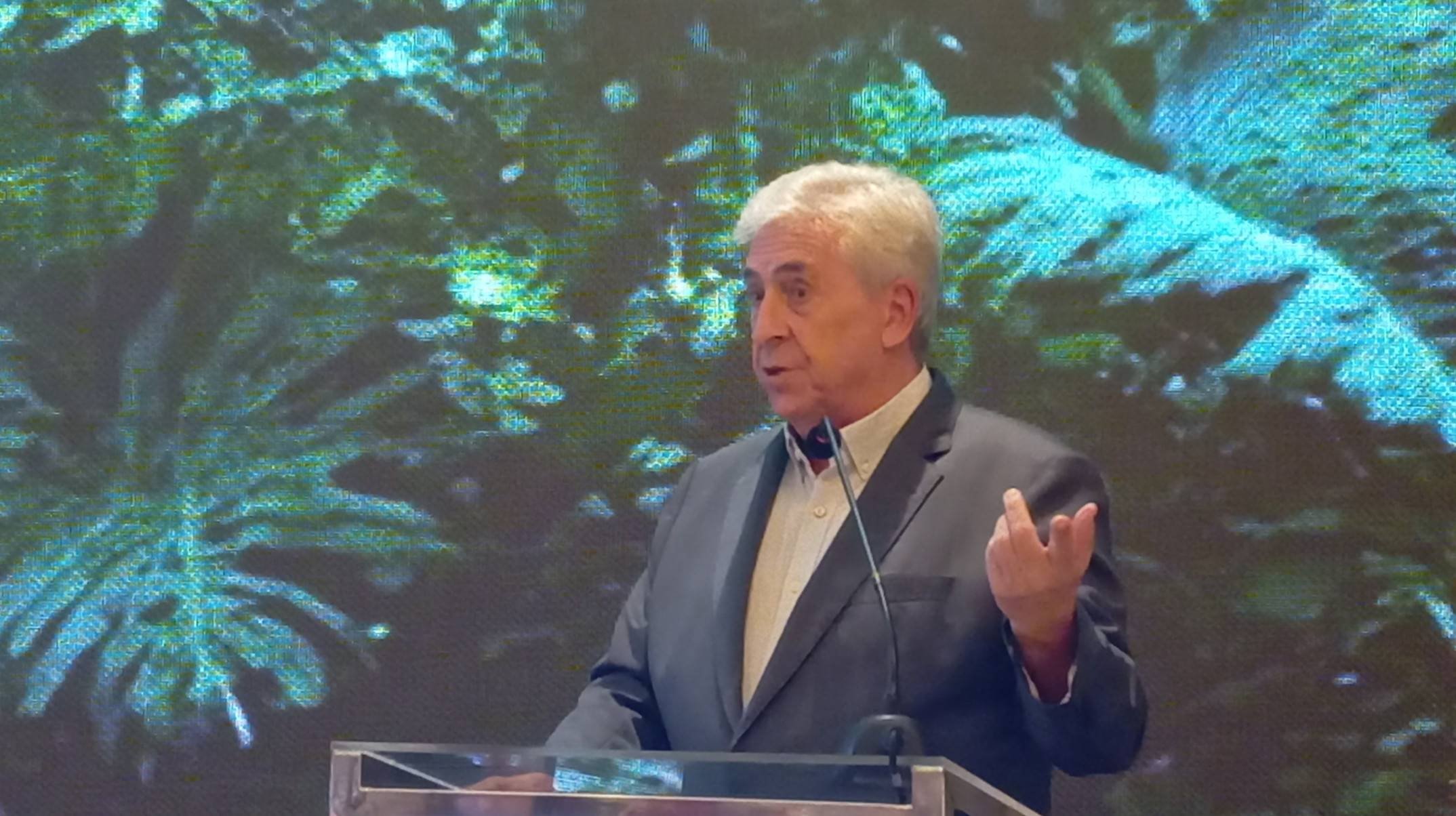  Jorge Rebelo de Almeida, presidente do Vila Galé, disse o hotel foi um desafio: 