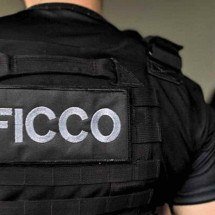 Mulher é presa com 30 kg de skunk depois de flagrante na Grande BH - MJSP/Reprodução