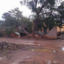 Chuvas levam alívio e provocam danos no Norte de Minas - Defesa Civil Capitao Enéas/divulgaçao