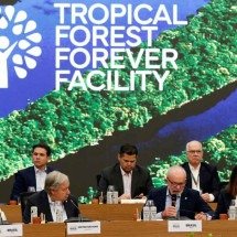 Em Belém, COP 30 pôs a Amazônia no epicentro da geopolítica climática - BRUNO SERES/AGÊNCIA BRASIL