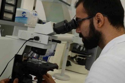 USP e UFPel concentram cientistas mais influentes em política pública, diz pesquisa -  (crédito: Platobr Economia)