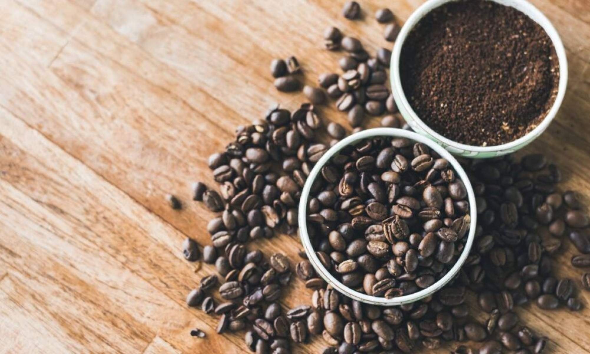 Qual o coletivo de café? - Tupi