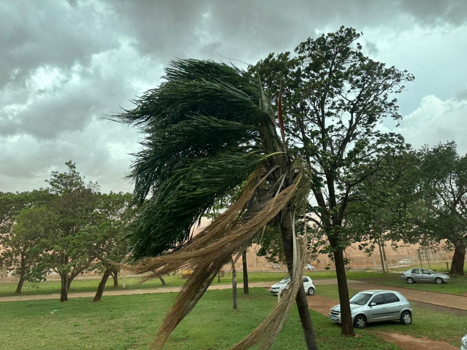 Vendaval afetou várias cidades do Triângulo MIneiro